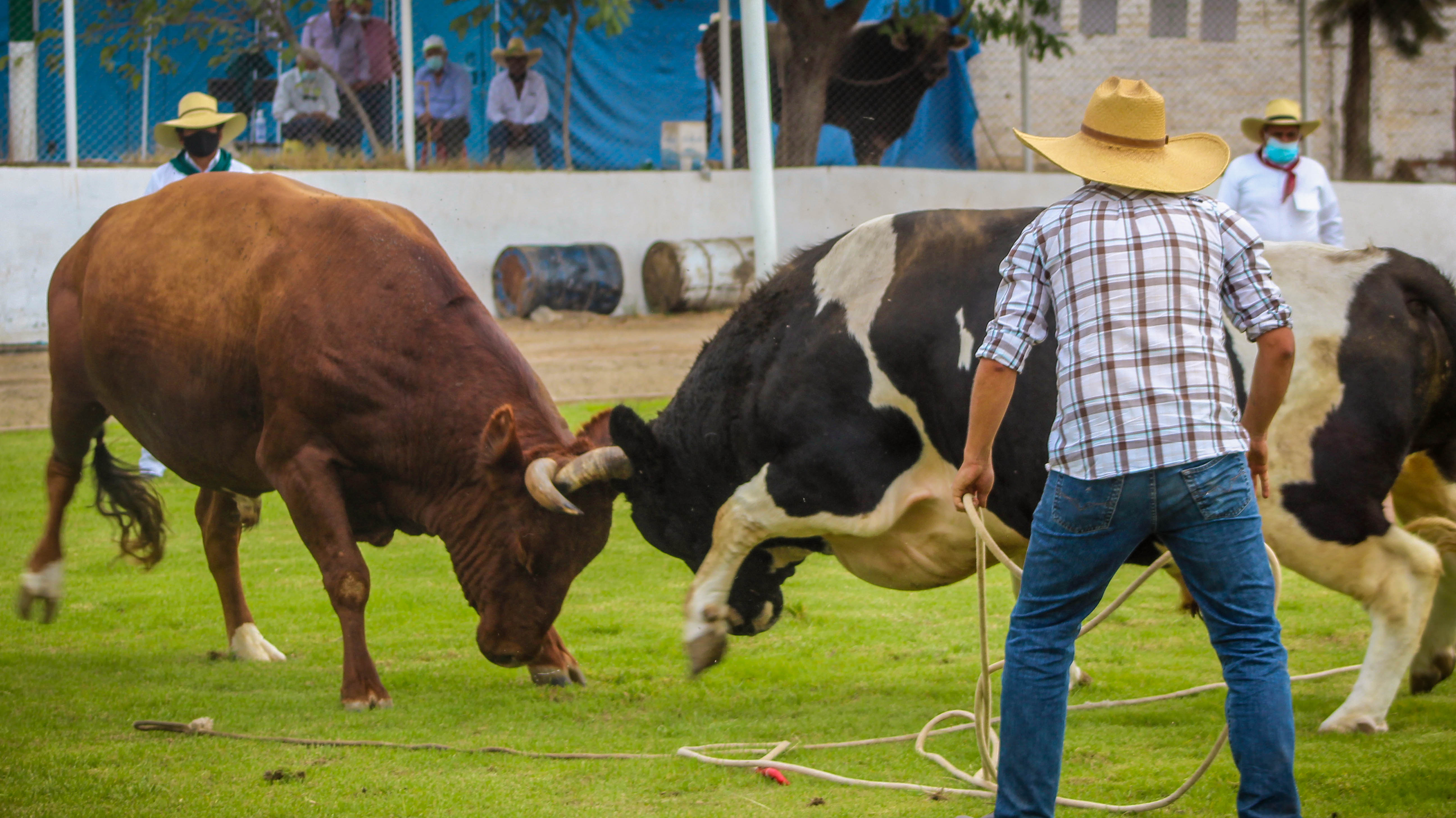 PUKA VS EL GRAN MALEFICIO
